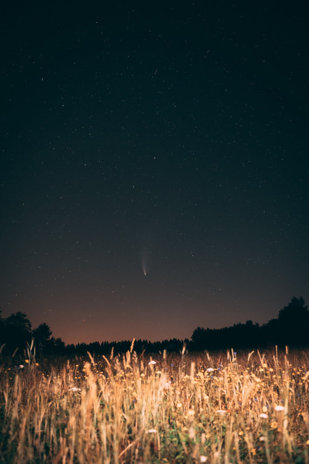 nature 10